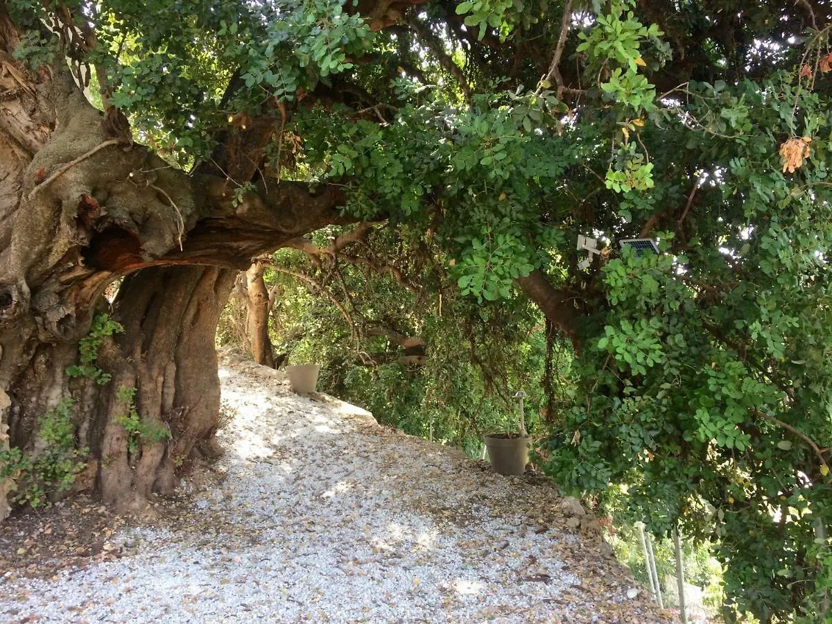 La Casa Turquesa Vila Frigiliana