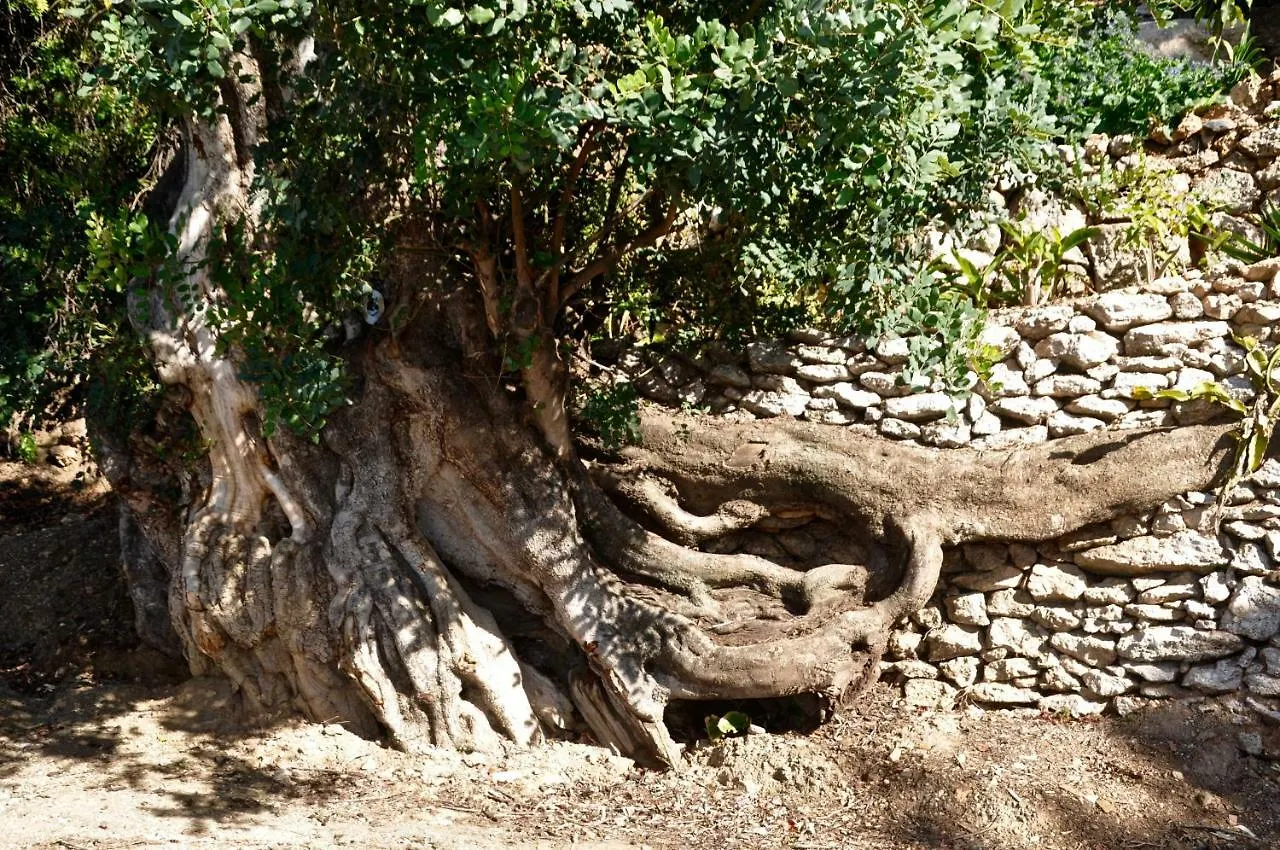 La Casa Turquesa Vila Frigiliana